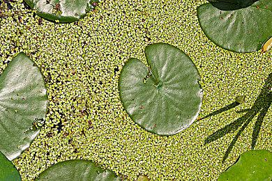 H2 Interactive《决胜点：网球冠军赛》PS4＆PS5 繁体中文版今日正式发售