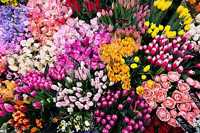 《怪物猎人崛起：曙光》免费更新第四弹特别直播2月2日举行