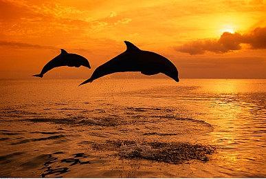 卡普空分享《原始袭变》新预告片展示坦克型装甲