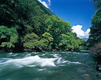 报道称“寡姐”斯嘉丽·约翰逊将出演新《侏罗纪世界》电影 或担任主角